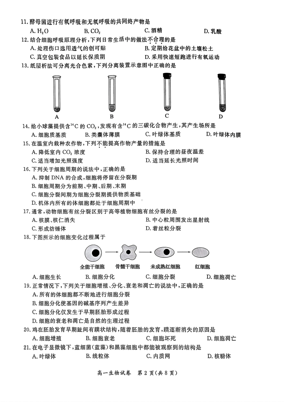 北京通州区2023-2024高一上学期期末生物试卷及答案.pdf_第2页