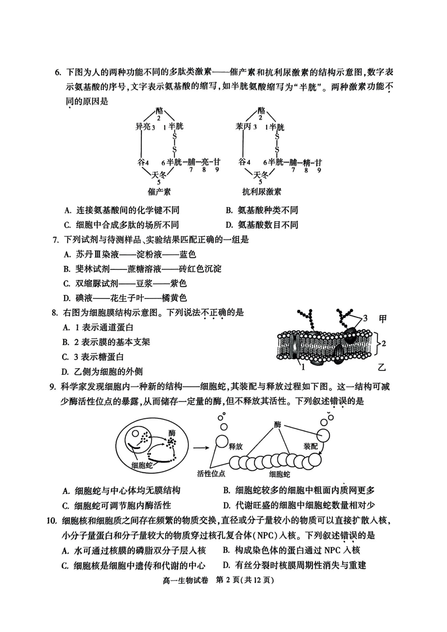 北京朝阳区2023-2024高一上学期期末生物试卷及答案.pdf_第2页