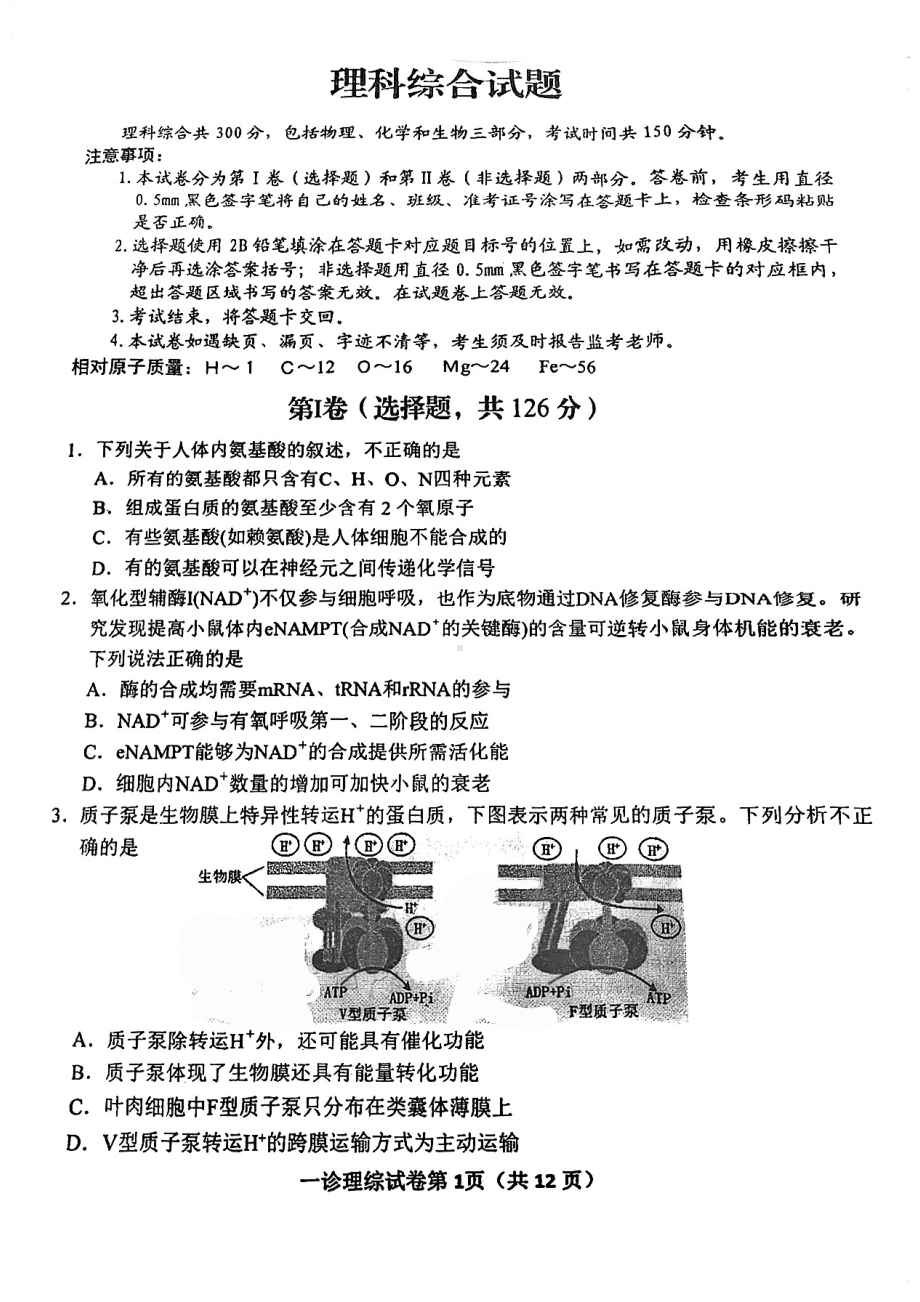 2024届四川省达州市普通高中高三上学期第一次诊断性考试理科综合试题.pdf_第1页