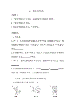 1.1 阳光下的植物 （含答案）-2023新湘科版六年级上册《科学》.doc