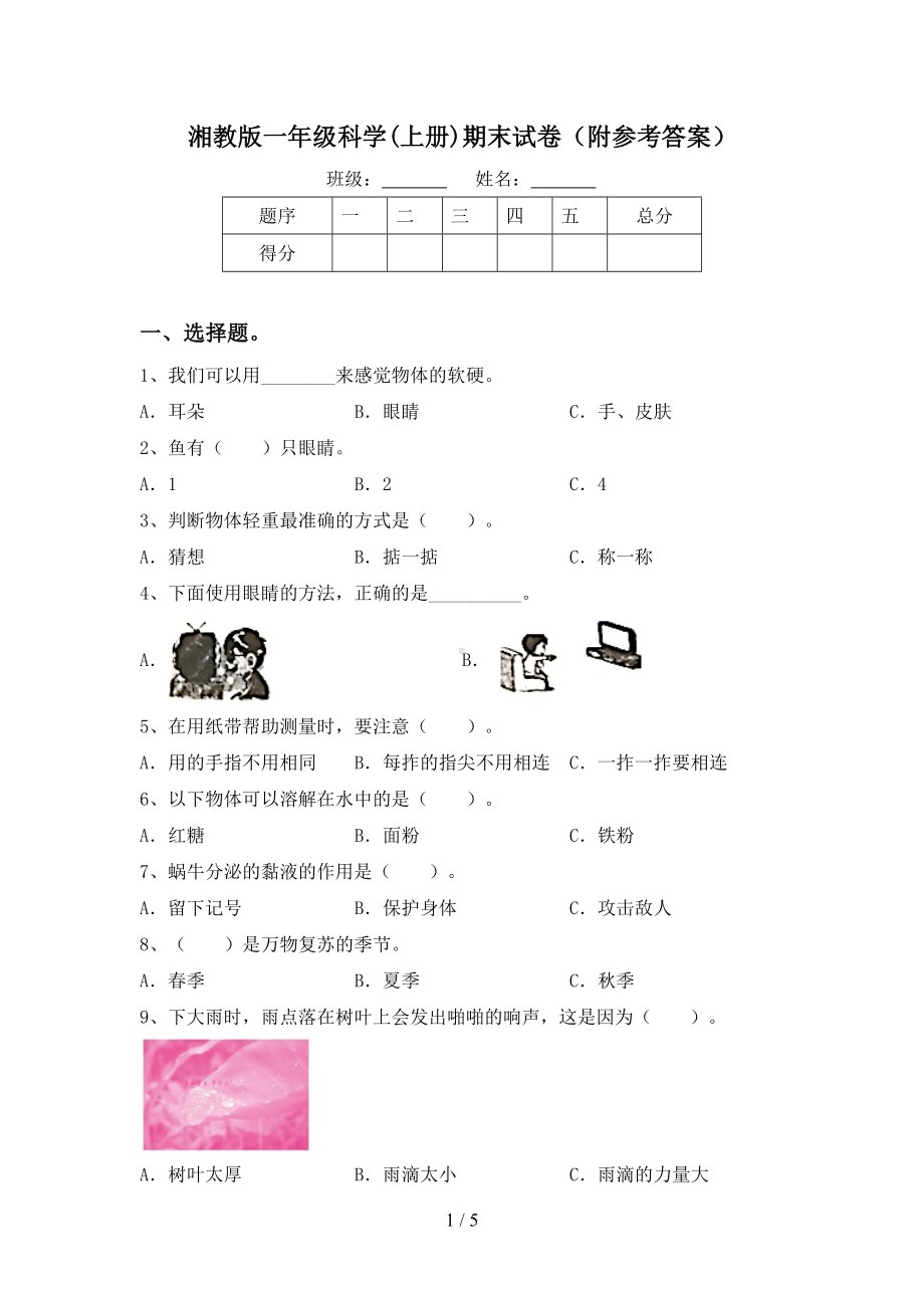 2023新湘科版一年级上册《科学》期末试卷(附参考答案).doc_第1页