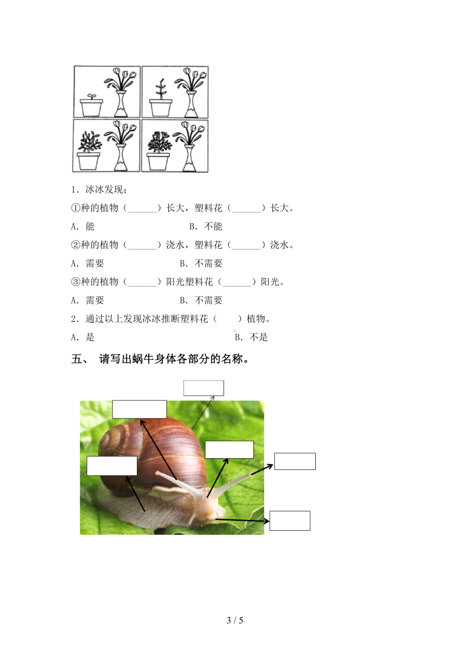 2023新湘科版一年级上册《科学》期末试卷(附参考答案).doc_第3页