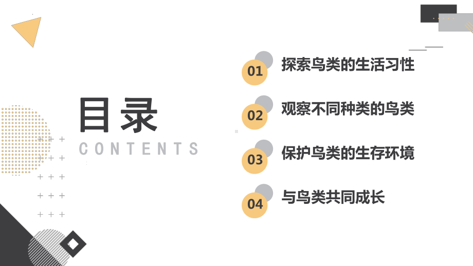 粤教版五年级上学期综合实践活动第三课我和鸟类做朋友教学课件.pptx_第2页