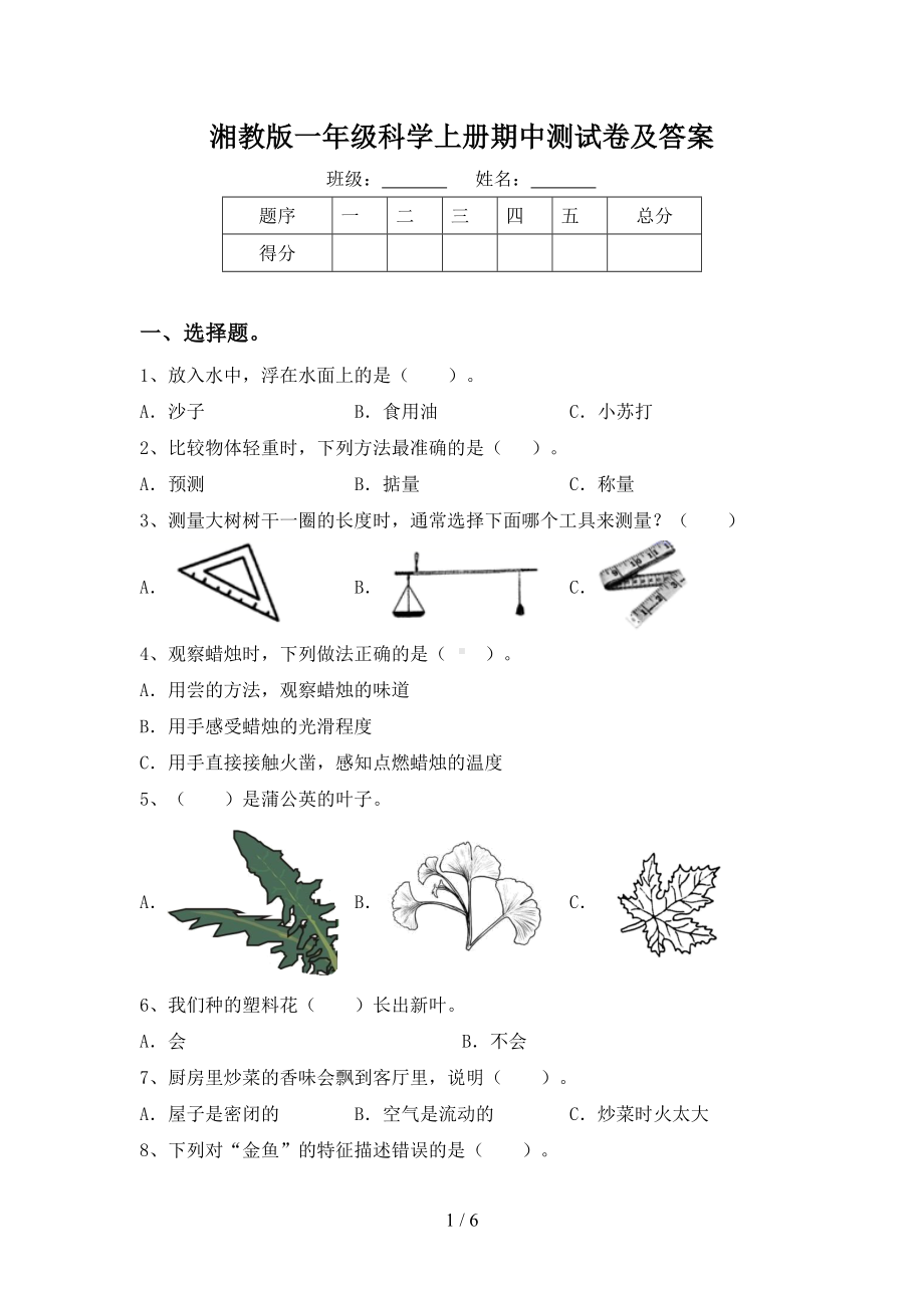 2023新湘科版一年级上册《科学》期中测试卷及答案 .doc_第1页