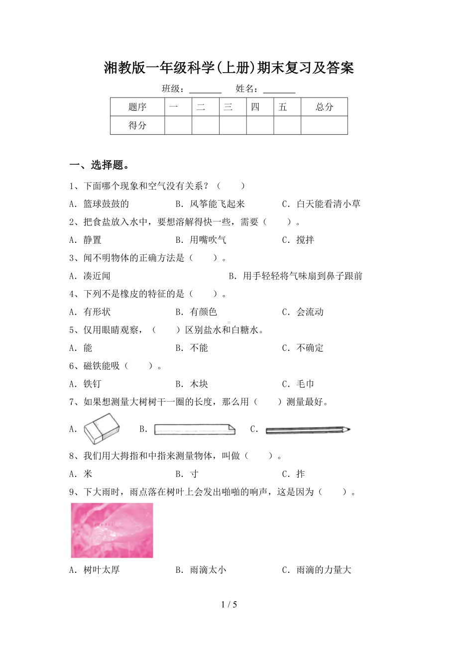 2023新湘科版一年级上册《科学》期末复习及答案.doc_第1页