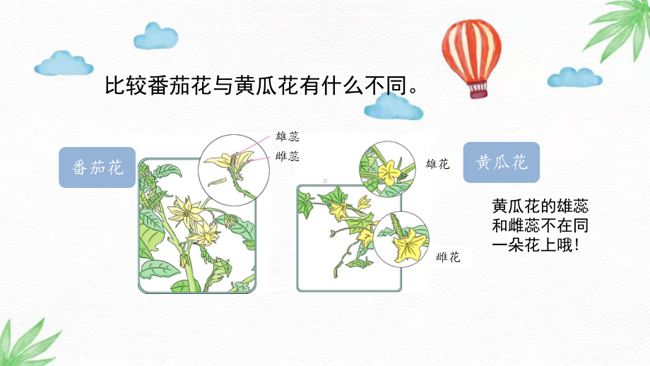 1.3《植物开花了》（PPT课件7ppt）-2024新苏教版三年级下册《科学》.pptx_第2页