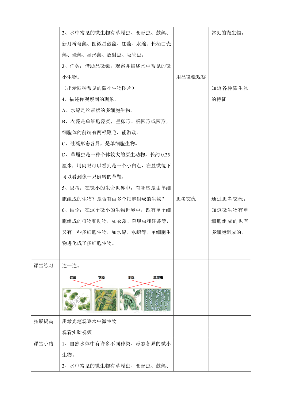 2024新粤教粤科版五年级下册《科学》10《微小的生命世界》教案.doc_第3页