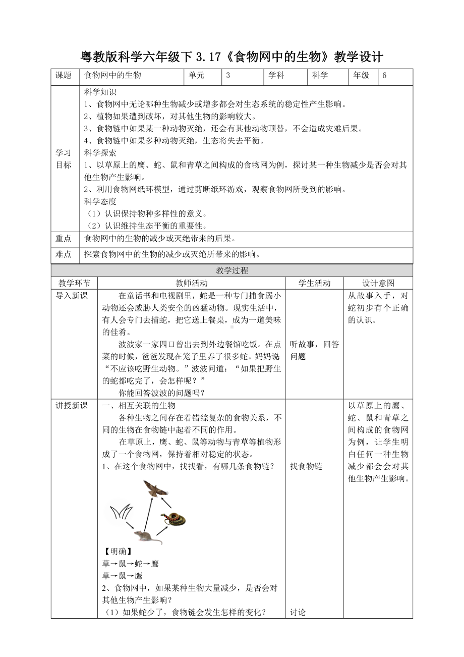 3.17《食物网中的生物》教案-2024新粤教粤科版六年级下册《科学》.doc_第1页