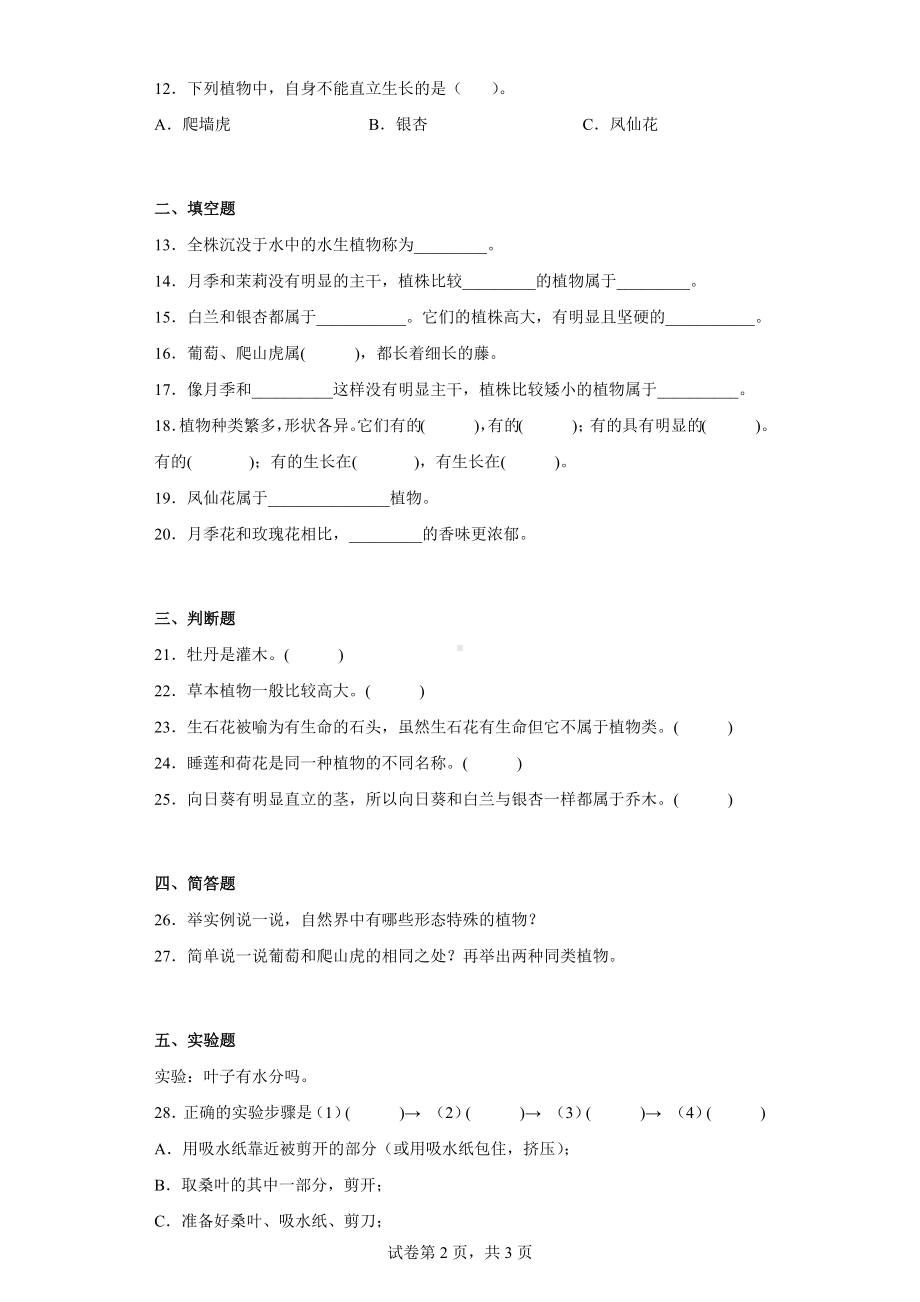 2024新粤教粤科版四年级下册《科学》第一单元综合测试卷（二）植物大观园含答案.docx_第2页