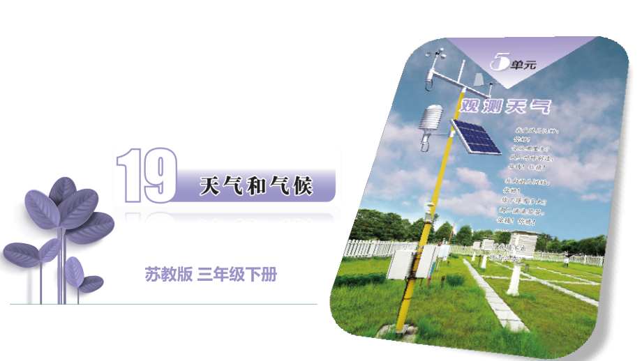 5.19天气和气候ppt课件(共22张PPT+视频)-2024新苏教版三年级下册《科学》.rar