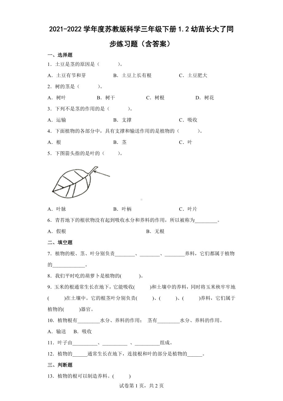 2幼苗长大了同步练习题（含答案）-2024新苏教版三年级下册《科学》.docx_第1页