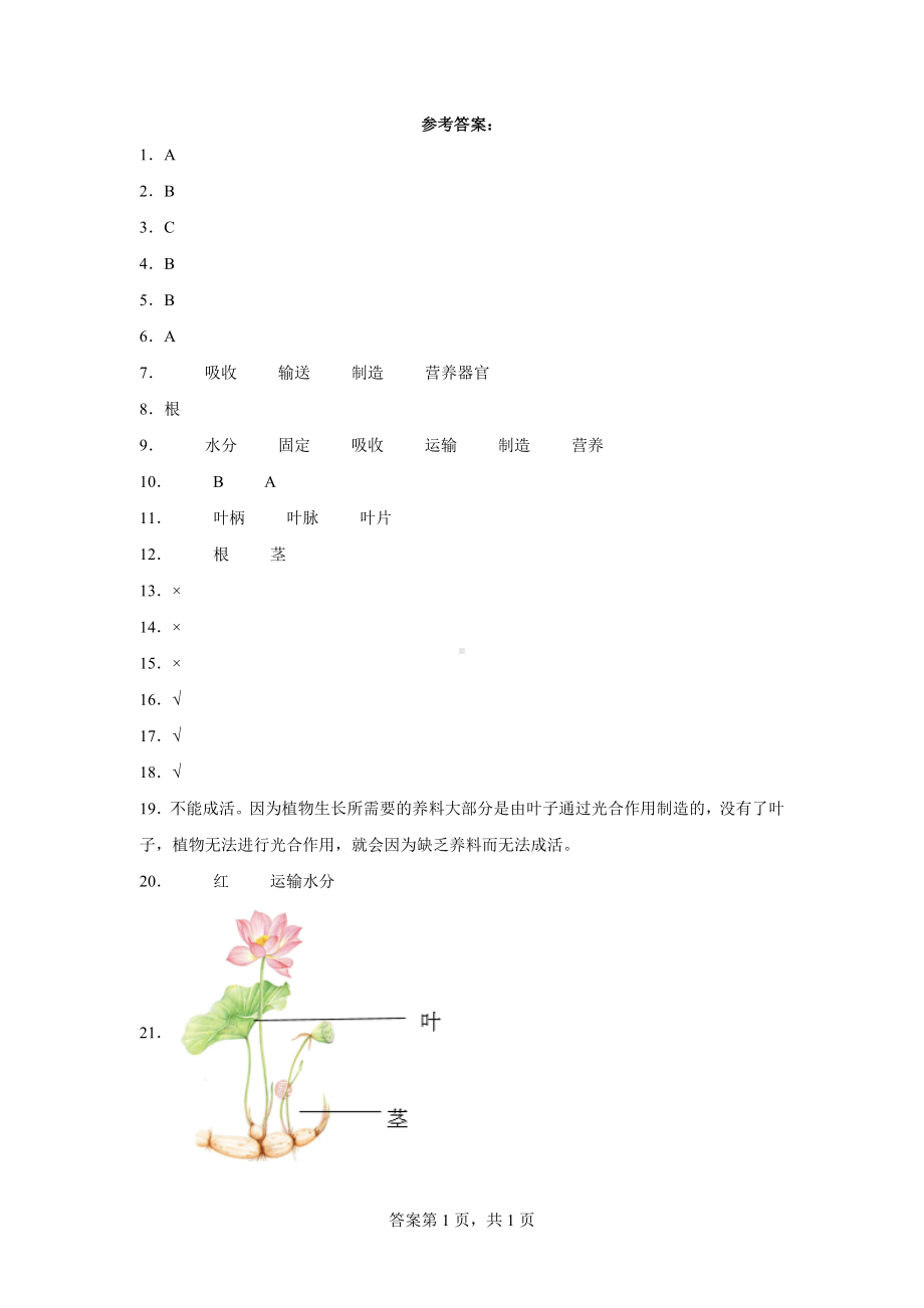 2幼苗长大了同步练习题（含答案）-2024新苏教版三年级下册《科学》.docx_第3页