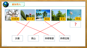 2.7 水里的植物（ppt课件23张PPT+视频）-2024新苏教版三年级下册《科学》.pptx