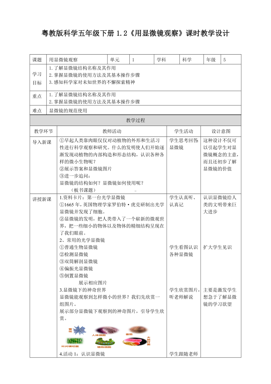 2024新粤教粤科版五年级下册《科学》第09课《用显微镜观察》.doc_第1页