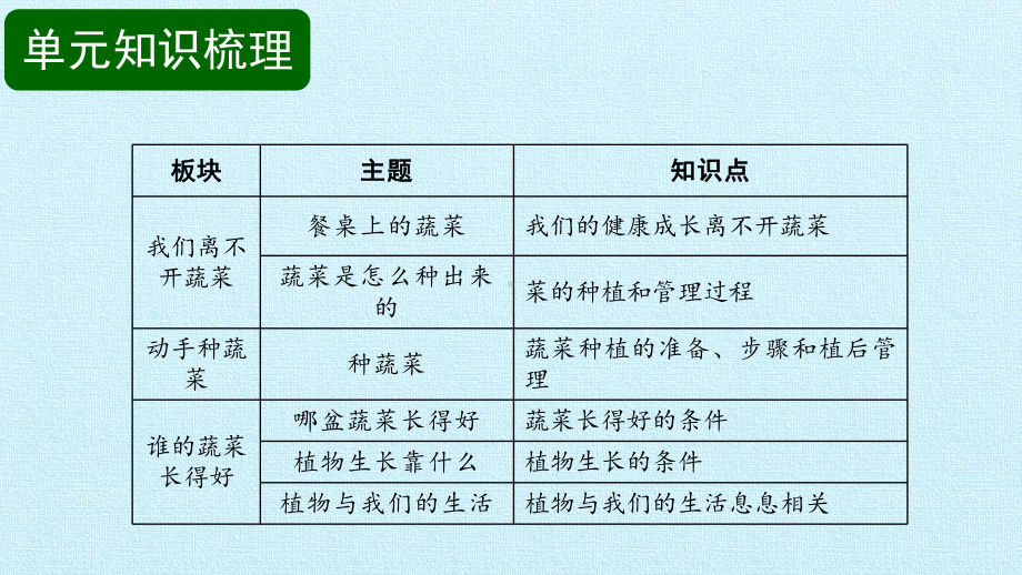 2024新粤教粤科版二年级下册《科学》第2单元 一起种蔬菜 复习ppt课件（12ppt）.pptx_第2页