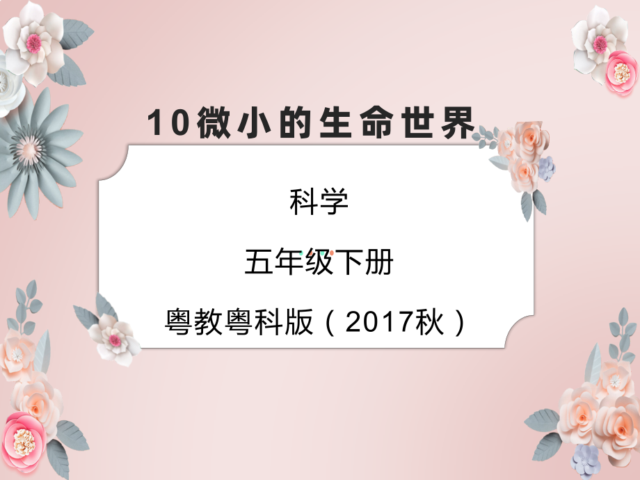 10 微小的生命世界（内含视频素材）-ppt课件17张PPT-2024新粤教粤科版五年级下册《科学》.rar