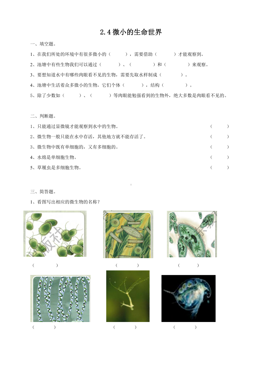 2024新粤教粤科版五年级下册《科学》10《微小的生命世界》练习.doc_第1页