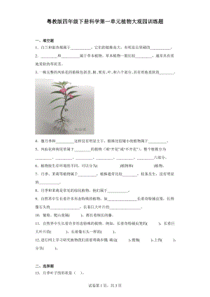 2024新粤教粤科版四年级下册《科学》第一单元植物大观园训练题（含答案）.docx