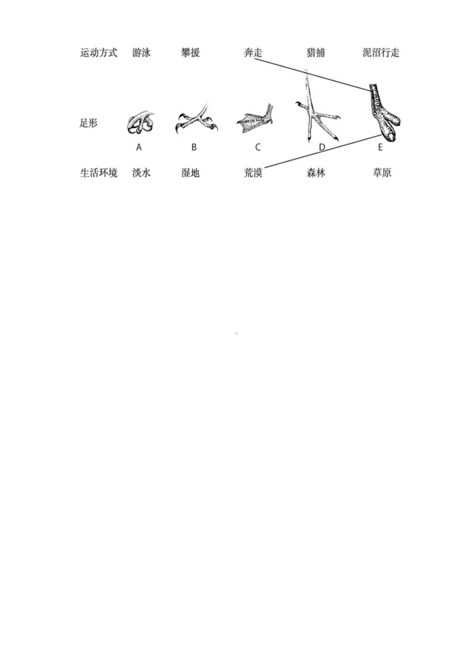 3.13《丹顶鹤生活在哪里》练习-2024新粤教粤科版六年级下册《科学》.doc_第2页