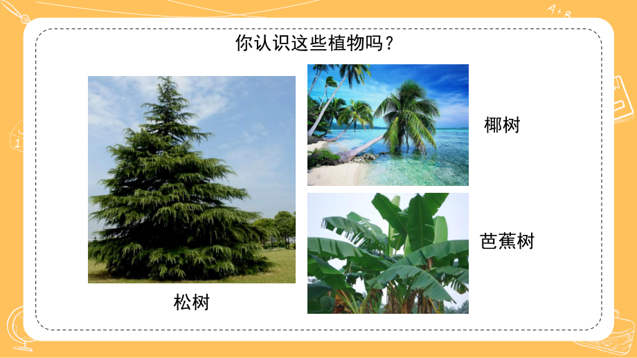 5.《不同环境里的植物》ppt课件(共28张PPT)-2024新苏教版三年级下册《科学》.pptx_第3页