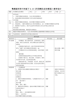 3.13《丹顶鹤生活在哪里》教案-2024新粤教粤科版六年级下册《科学》.doc