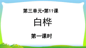 《白桦》示范课教学课件第1课时（部编人教版小学四年级语文下册）.pptx