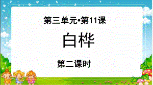 《白桦》示范课教学课件第2课时（部编人教版小学四年级语文下册）.pptx