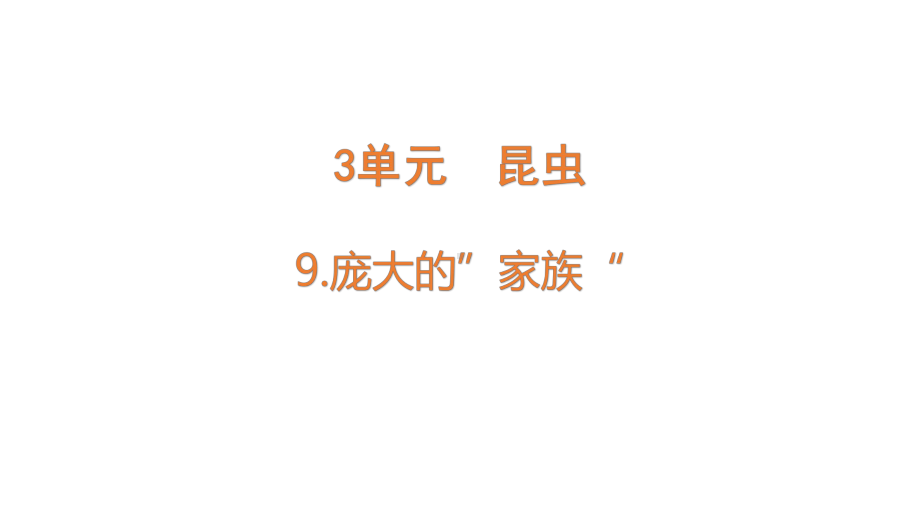 3.9庞大的”家族“ppt课件(共14张PPT)-2024新苏教版四年级下册《科学》.pptx_第1页