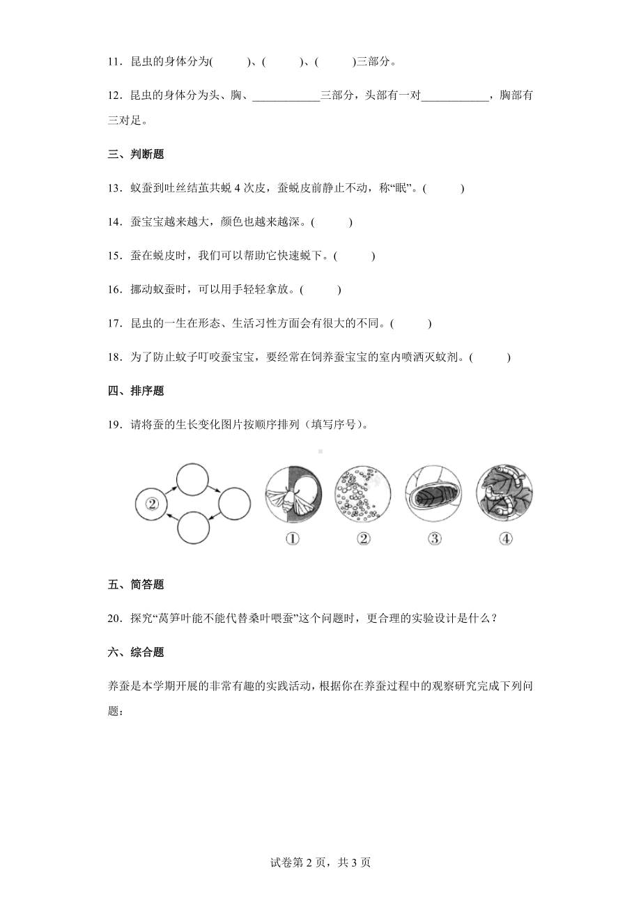 10养昆虫同步练习题（含答案）-2024新苏教版四年级下册《科学》.docx_第2页