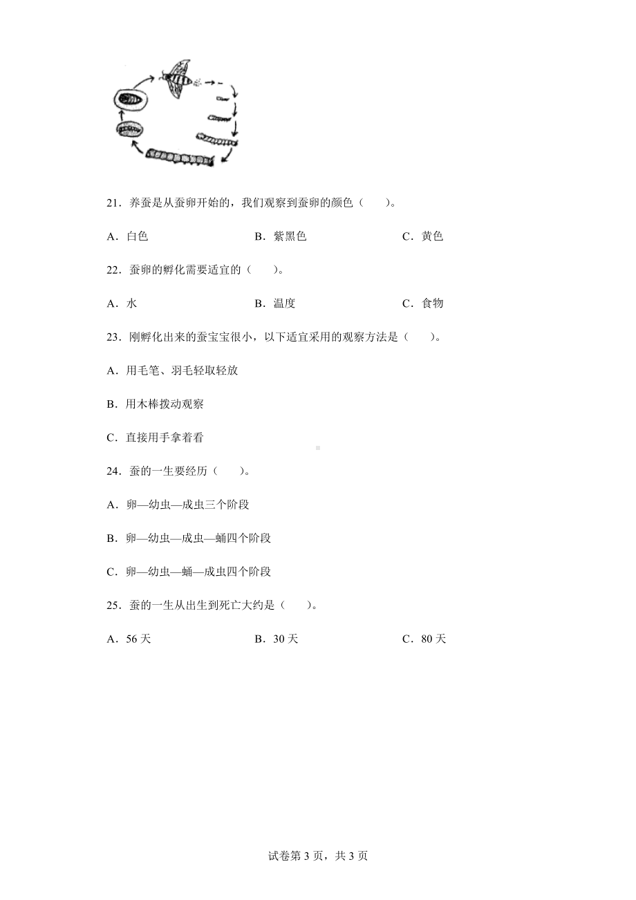 10养昆虫同步练习题（含答案）-2024新苏教版四年级下册《科学》.docx_第3页