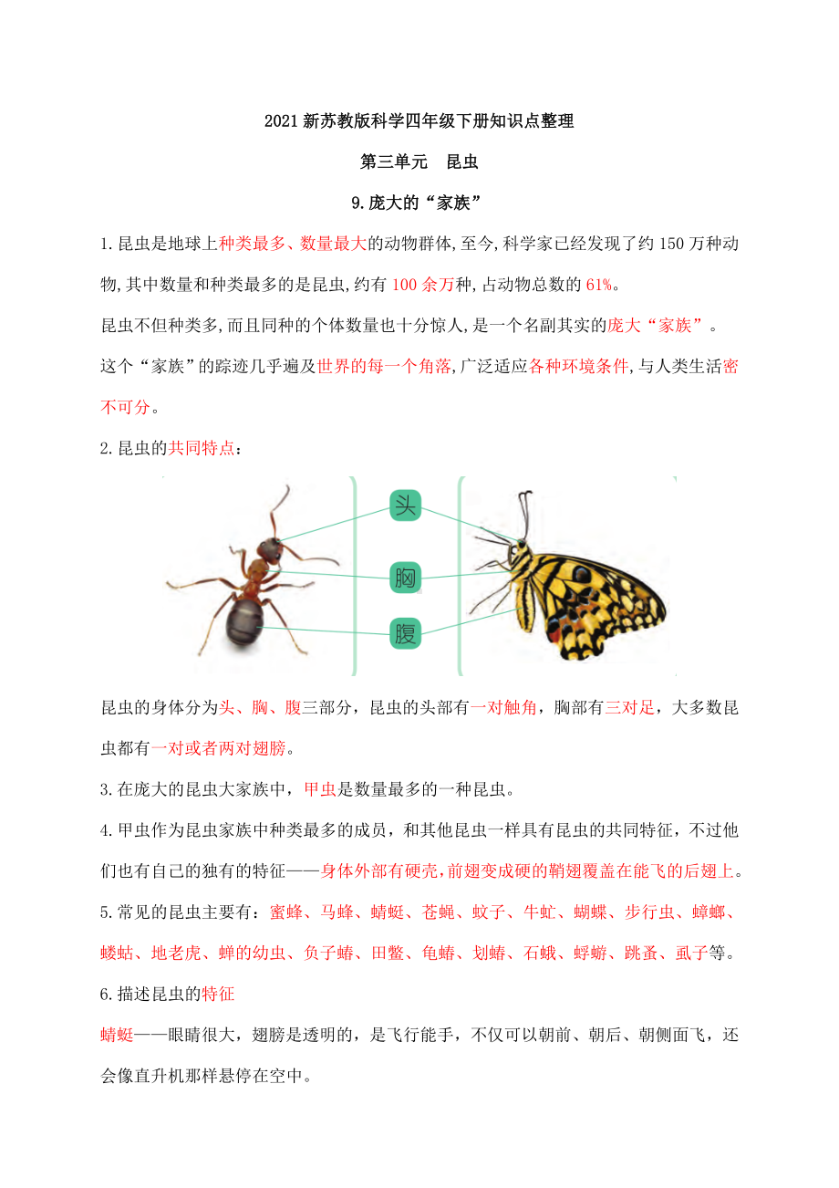 2024新苏教版四年级下册《科学》第三单元《昆虫》知识点整理.docx_第1页