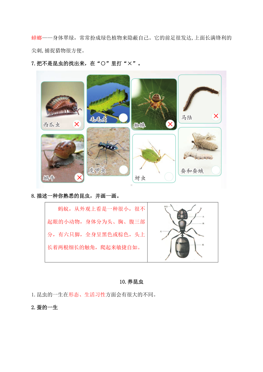 2024新苏教版四年级下册《科学》第三单元《昆虫》知识点整理.docx_第2页