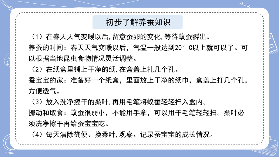 3.10养昆虫ppt课件(共16张PPT)-2024新苏教版四年级下册《科学》.pptx_第3页