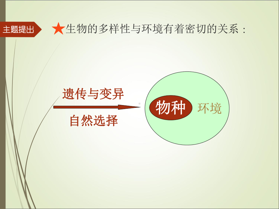 2024新苏教版三年级下册《科学》8第2单元《植物与环境》教材分析ppt课件.pptx_第3页