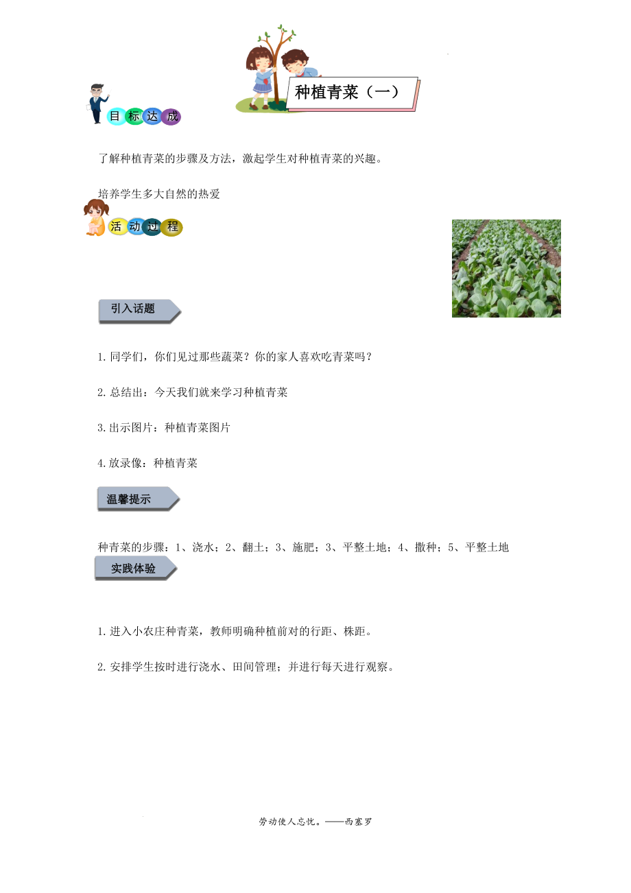 3.种植青菜（一）（ppt课件+教案）-小学三年级《劳动教育》.rar