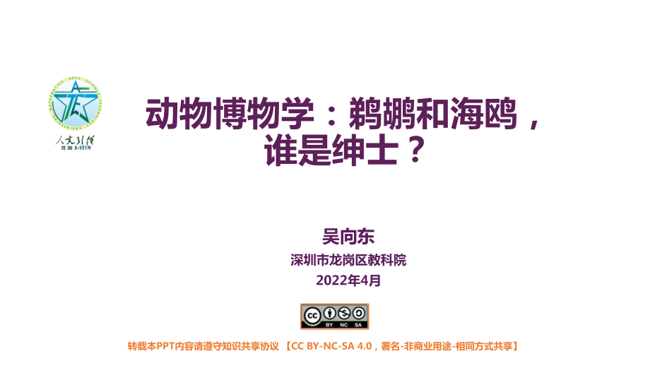 《动物博物学：鹈鹕和海鸥谁是绅士？》 ppt课件+教案-小学六年级《综合实践》.rar