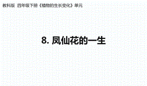 杭州教科版四年级下册科学第一单元《8.凤仙花的一生》课件.pptx