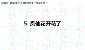 杭州教科版四年级下册科学第一单元《5.凤仙花开花了》课件.pptx