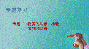 中考化学专题复习-专题二 物质的共存、检验、鉴别和除杂（课件）.ppt