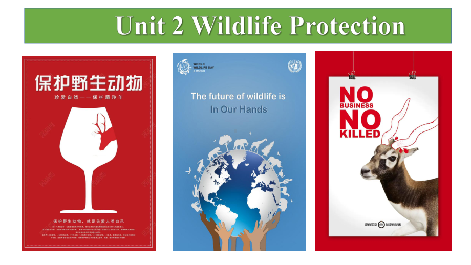 Unit 2 Wildlife Protection Reading and Thinking （ppt课件）-2024新人教版（2019）《高中英语》必修第二册.pptx_第1页