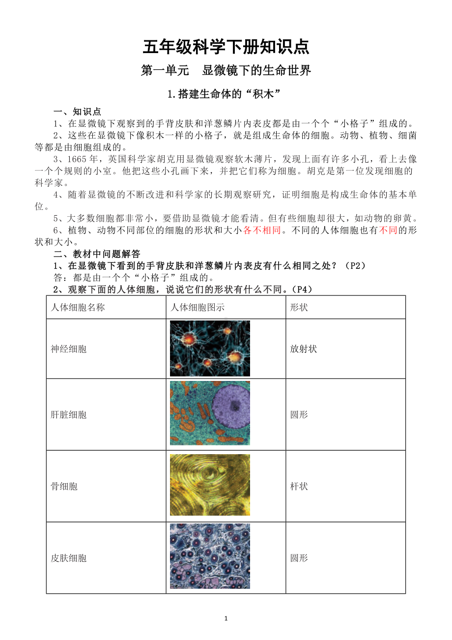 小学科学苏教版五年级下册全册知识点（分单元课时编排）（2024春）.doc_第1页