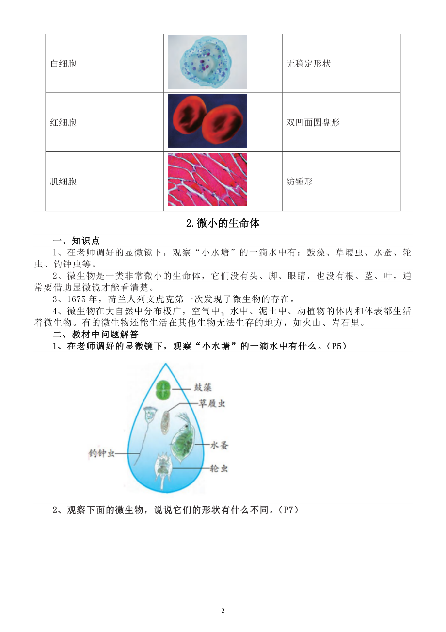 小学科学苏教版五年级下册全册知识点（分单元课时编排）（2024春）.doc_第2页