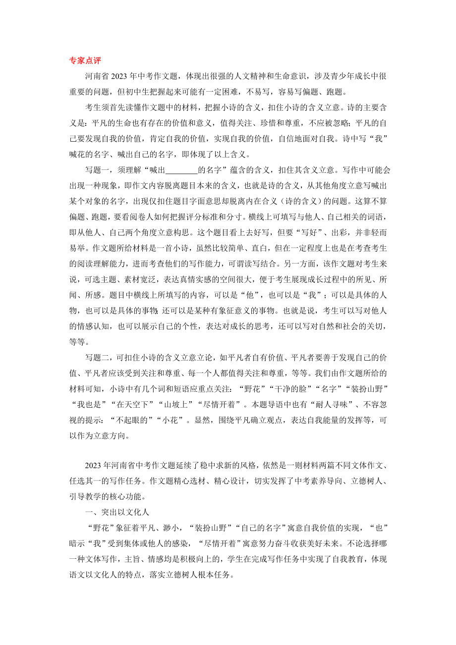 河南卷（喊出-----的名字)-2023年中考作文真题解读.docx_第3页