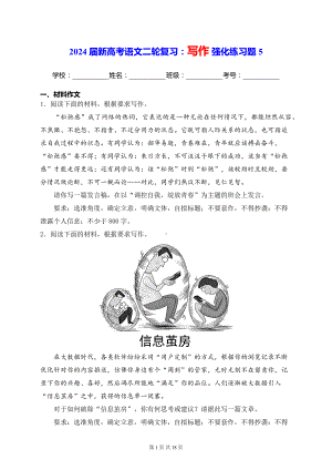 2024届新高考语文二轮复习：写作 强化练习题5（含答案解析）.docx