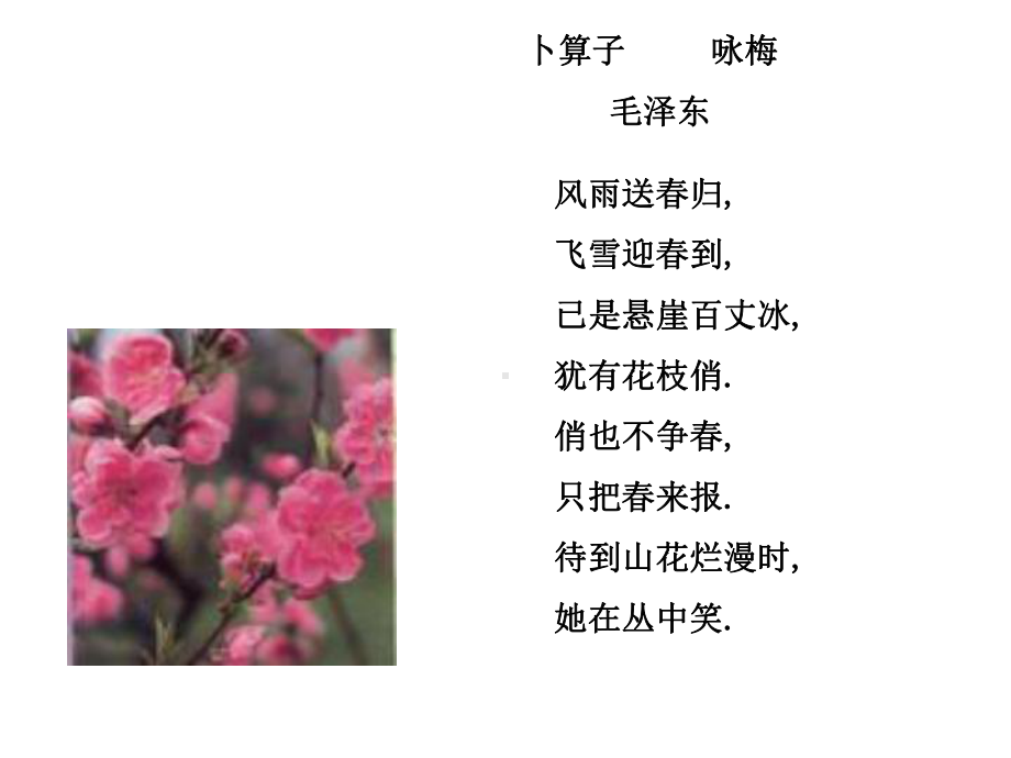 作文立意指导.ppt_第2页