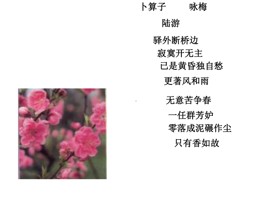 作文立意指导.ppt_第3页