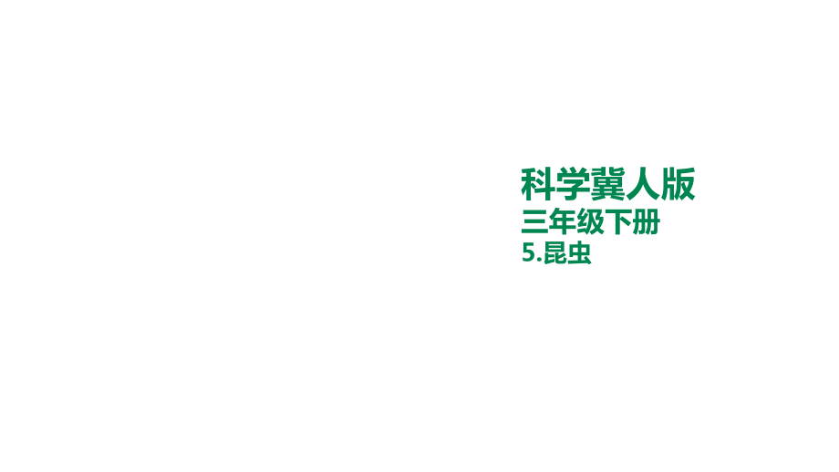 5.昆虫 ppt课件+素材-2024新冀人版三年级下册《科学》.rar