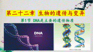 8.22.1 DNA是主要的遗传物质 八年级生物下册同步精品课件（苏教版）(共35张PPT).pptx