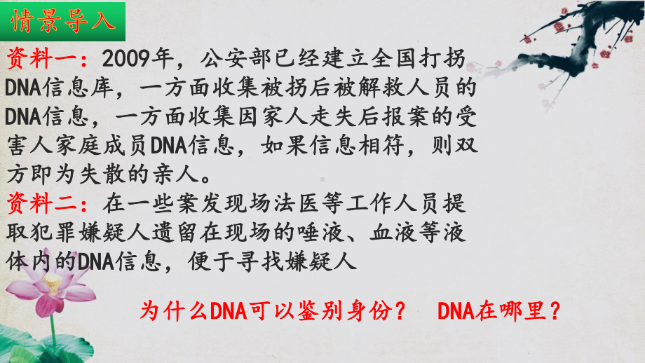 8.22.1 DNA是主要的遗传物质 八年级生物下册同步精品课件（苏教版）(共35张PPT).pptx_第3页