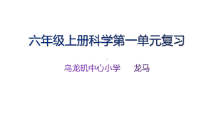 冀人版六年级上科学第一单元《生命的延续》复习(课件）.pptx